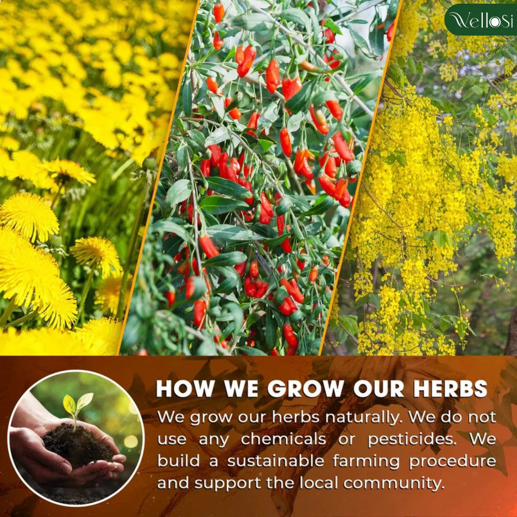 Wellosi Goji Berry Tea