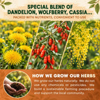 Wellosi Liver & Kidney Detox Herbal Health Tea