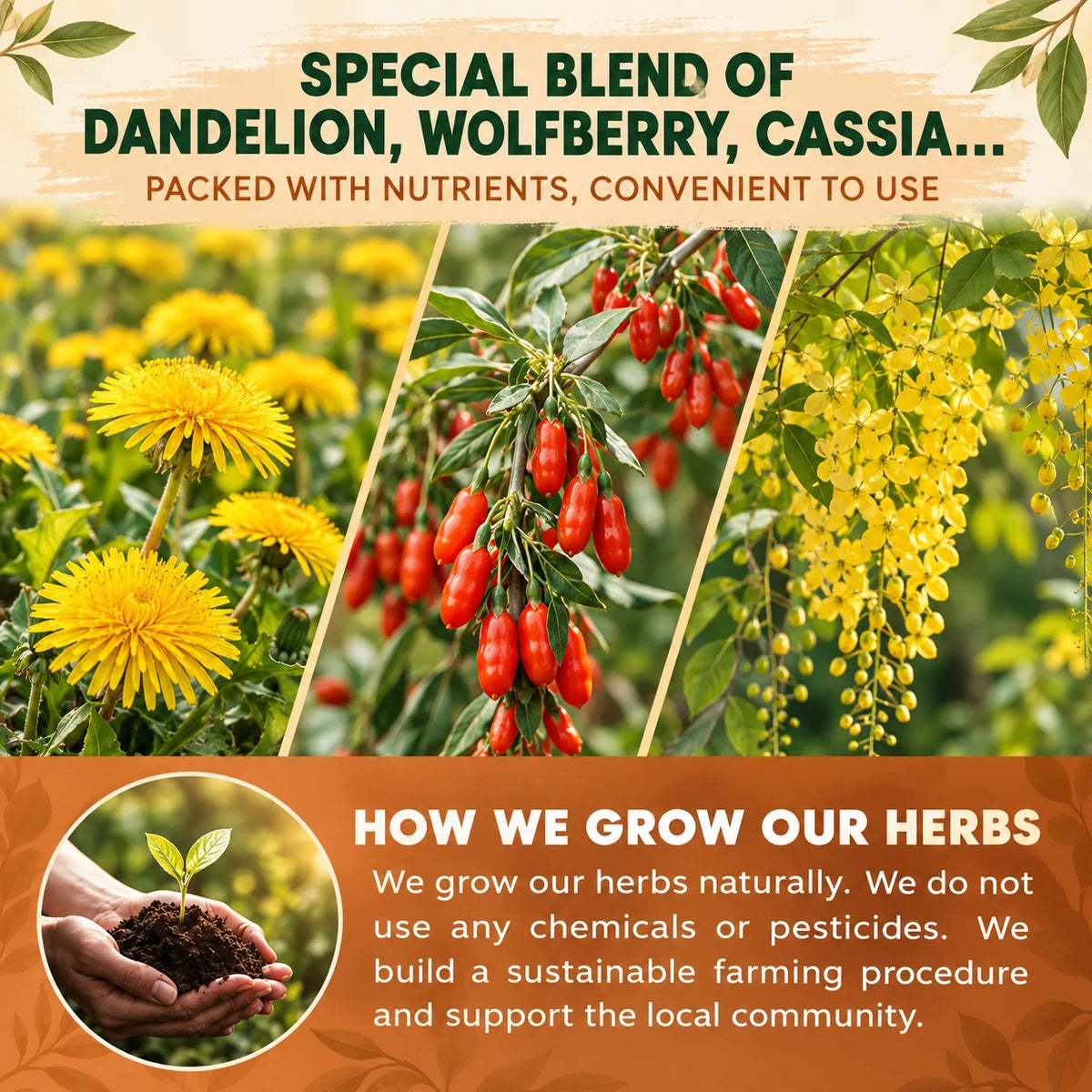 Wellosi Liver & Kidney Detox Herbal Health Tea