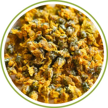 Chrysanthemum