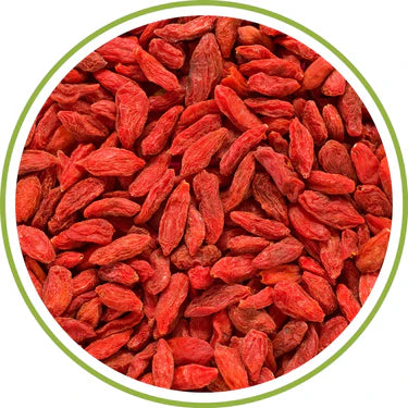 Wolfberry